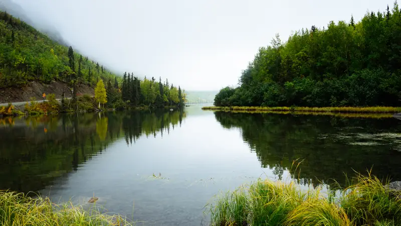 Morning mist settling on a calm lake lined with trees